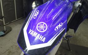 YAMAHA WR250R DG15J