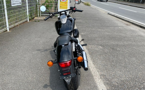 HONDA SHADOW 750 PHANTOM 2011 RC53