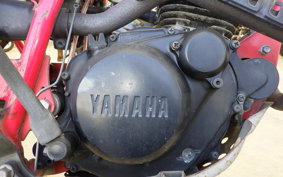YAMAHA TW200 2024 2JL