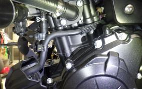 YAMAHA MT-25 A RG43J