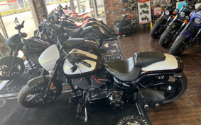 HARLEY FXSE CVO 2017 TG9
