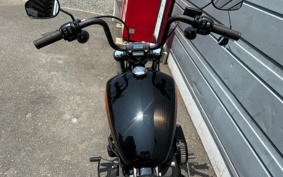 HARLEY FXBBS 2021 YYK
