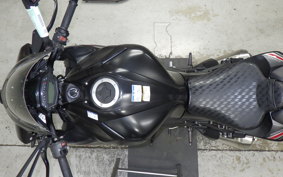 KAWASAKI Z1000 Gen.5 2019 ZXT00W
