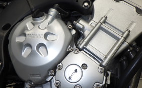 YAMAHA FZ1 FAZER 2009 RN21J