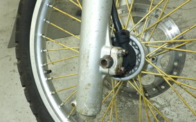 KAWASAKI KDX125 SR 2025 DX125A