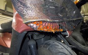 YAMAHA JOG Gen.5 2019 SA36J