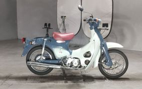 HONDA LITTLE CUB C50
