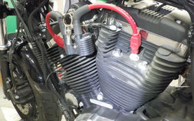 HARLEY XL1200XS 2019
