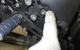 KAWASAKI NINJA 250R 2019 EX250K