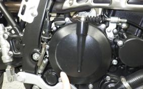 KAWASAKI KLX250D TRACKER X 2021 LX250V