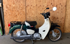 HONDA SUPER CUB50 AA09