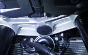 KAWASAKI NINJA ZX-6R A 2025 ZX636J