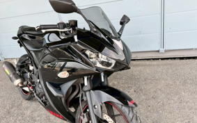 YAMAHA YZF-R25 RG10J