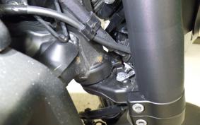 YAMAHA MT-07 2024 RM33J