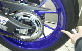 YAMAHA YZF-R15 2024 RG86J