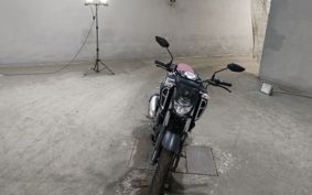YAMAHA FZ1-S RG66