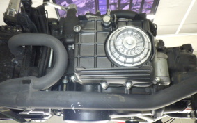 HONDA VTR 250 Gen. 2 MC33