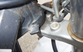 HONDA HORNET 250 MC31