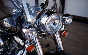 HARLEY FLSTC 2010 BW5