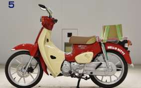 HONDA C110 SUPER CUB 2009 JA59