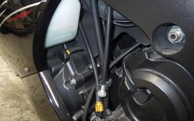 KAWASAKI ZZ1400 NINJA R 2007 ZXT40A