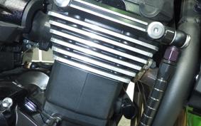 KAWASAKI ZRX1200 D 2017 ZRT20D