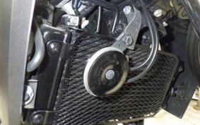 SUZUKI Vｽﾄﾛｰﾑ250