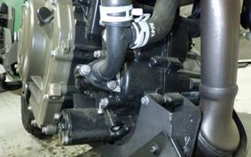 HUSQVARNA SVARTPILEN 401 2024