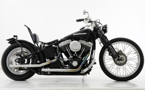 HARLEY FXST 2004 BHY