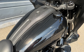 HARLEY FXLRST 2024 YXZ