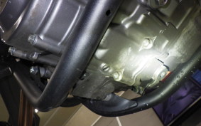 HONDA CRF250L MD47