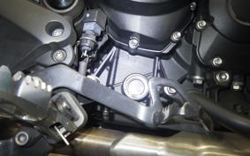 TRIUMPH TIGER 800 XC X 2015