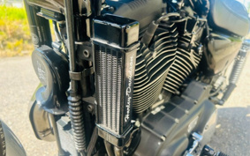 HARLEY XL1200R 2006 CLP