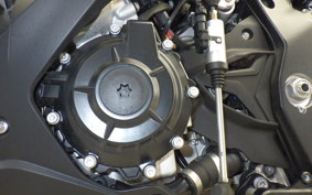 BMW S1000RR M DDC 2024