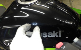 KAWASAKI NINJA 1000 2011
