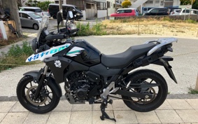 SUZUKI STROM 250 DS11A