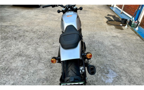 HARLEY  HARLEY X500 2024 W5B