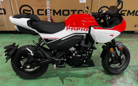 OTHER CFMOTO XO-1 PAPIO