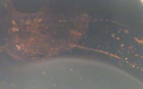 HARLEY XG750ｽﾄﾘｰﾄ 2021