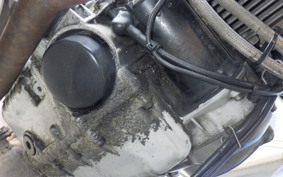 DUCATI MULTISTRADA 1100 S 2009