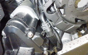 KAWASAKI NINJA 1000SX 2022 ZXT02K