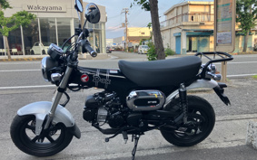 HONDA  DUX 125 JB06