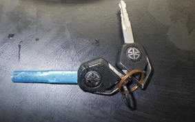 KAWASAKI NINJA H2 SX 2018 ZXT02A