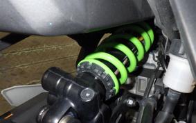 KAWASAKI ZX-4RR 2023 ZX400P