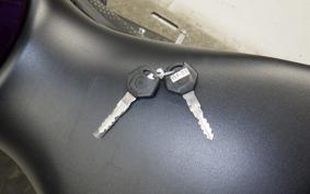 YAMAHA YZF R-3 2024 RH21J