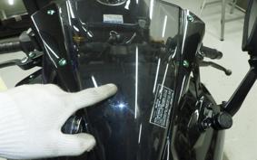 KAWASAKI ZX-25R ZX250E