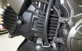 KAWASAKI Z125 PRO 2013 BR125H