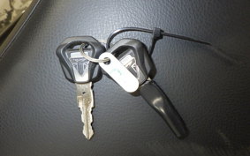 TRIUMPH STREET TWIN 2022