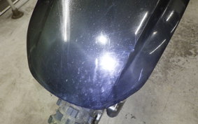 SUZUKI DJEBEL 250 XC 2019 SJ45A
