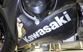 KAWASAKI NINJA 1000 2014